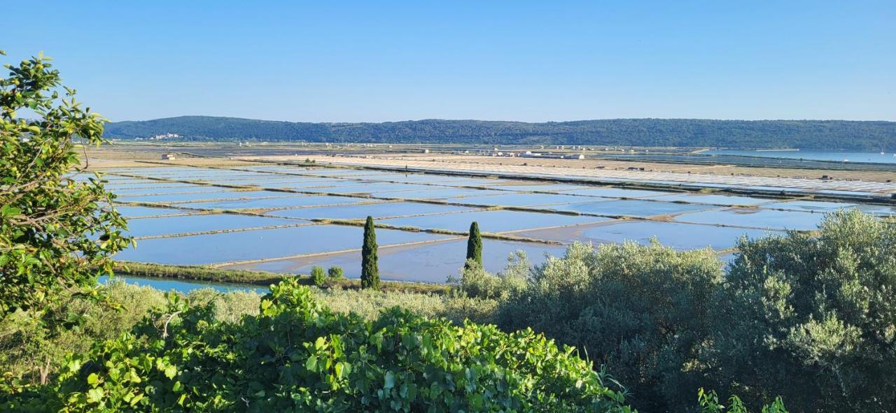 Apartment Salt Pans View Portorož Exterior foto